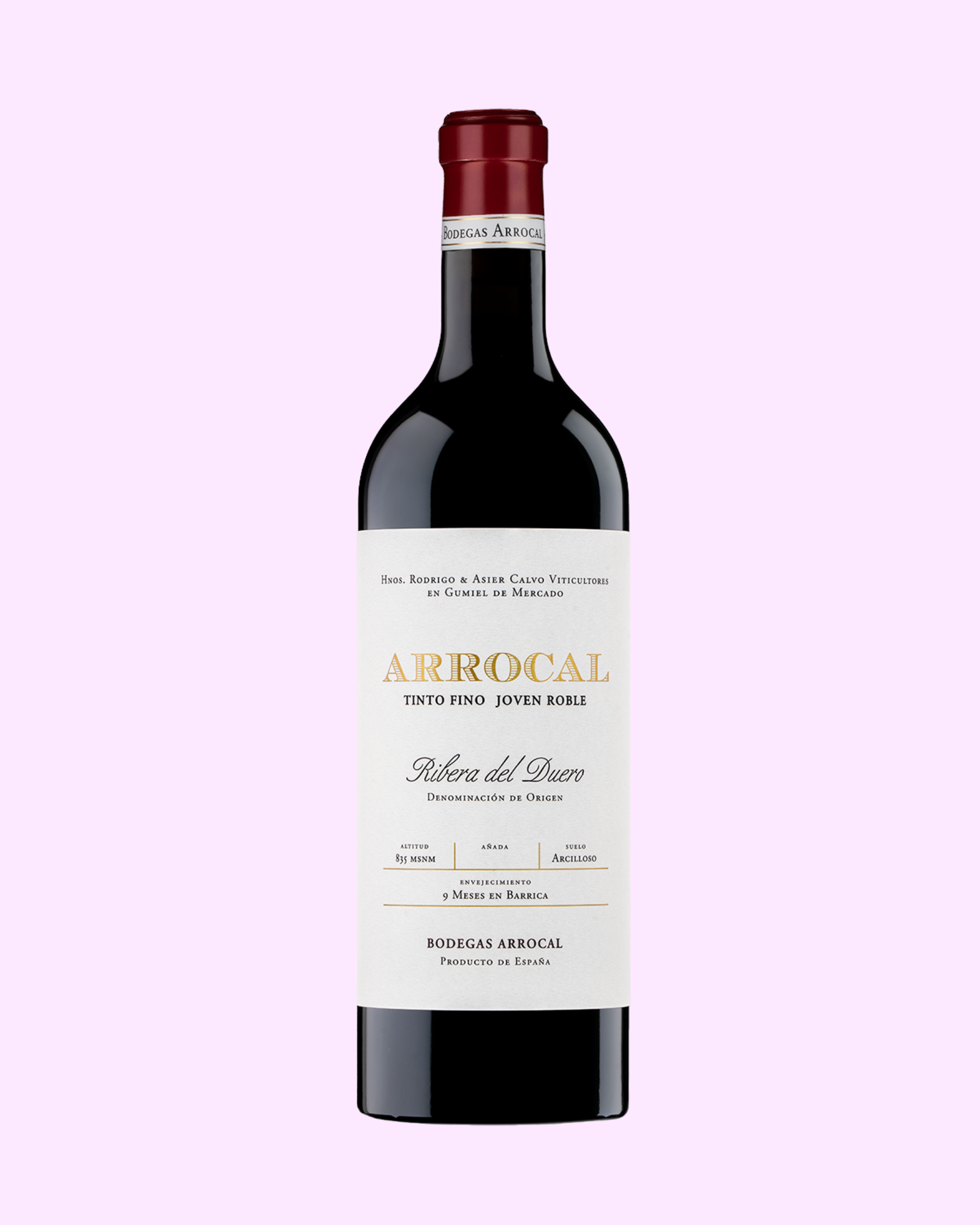 Bodegas Arrocal, Gumiel del Mercado Village, Ribera del Duero 2024