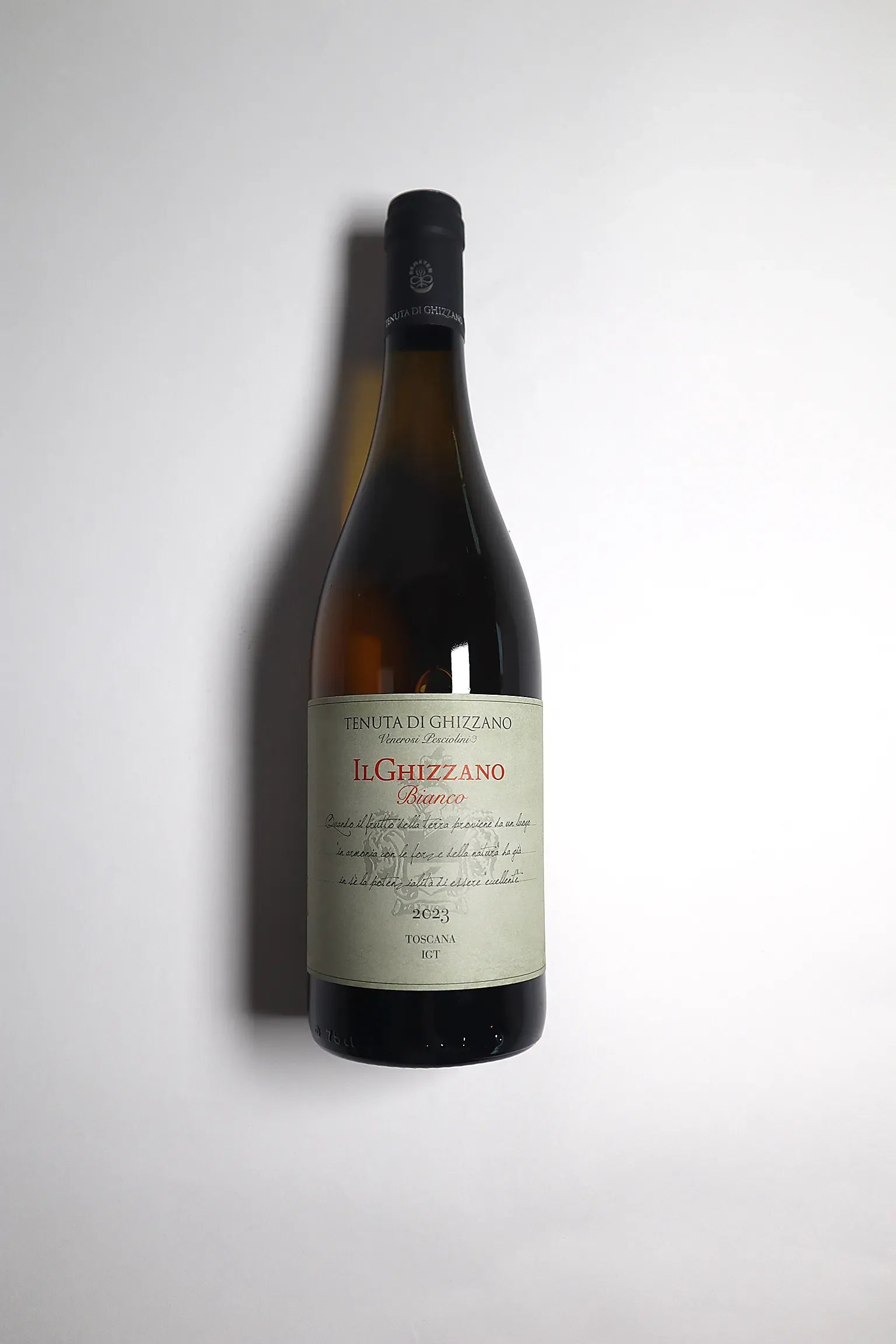 Tenuta di Ghizzano Bianco 2022