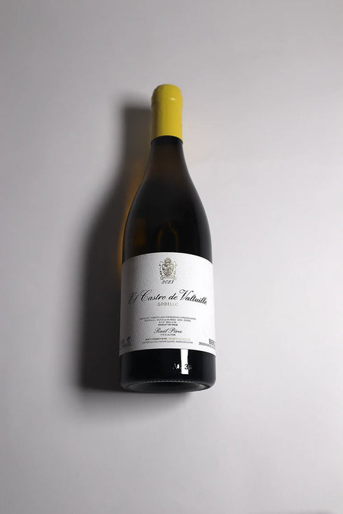 Castro Ventosa, El Castro de Valtuille Godello, Bierzo 2023
