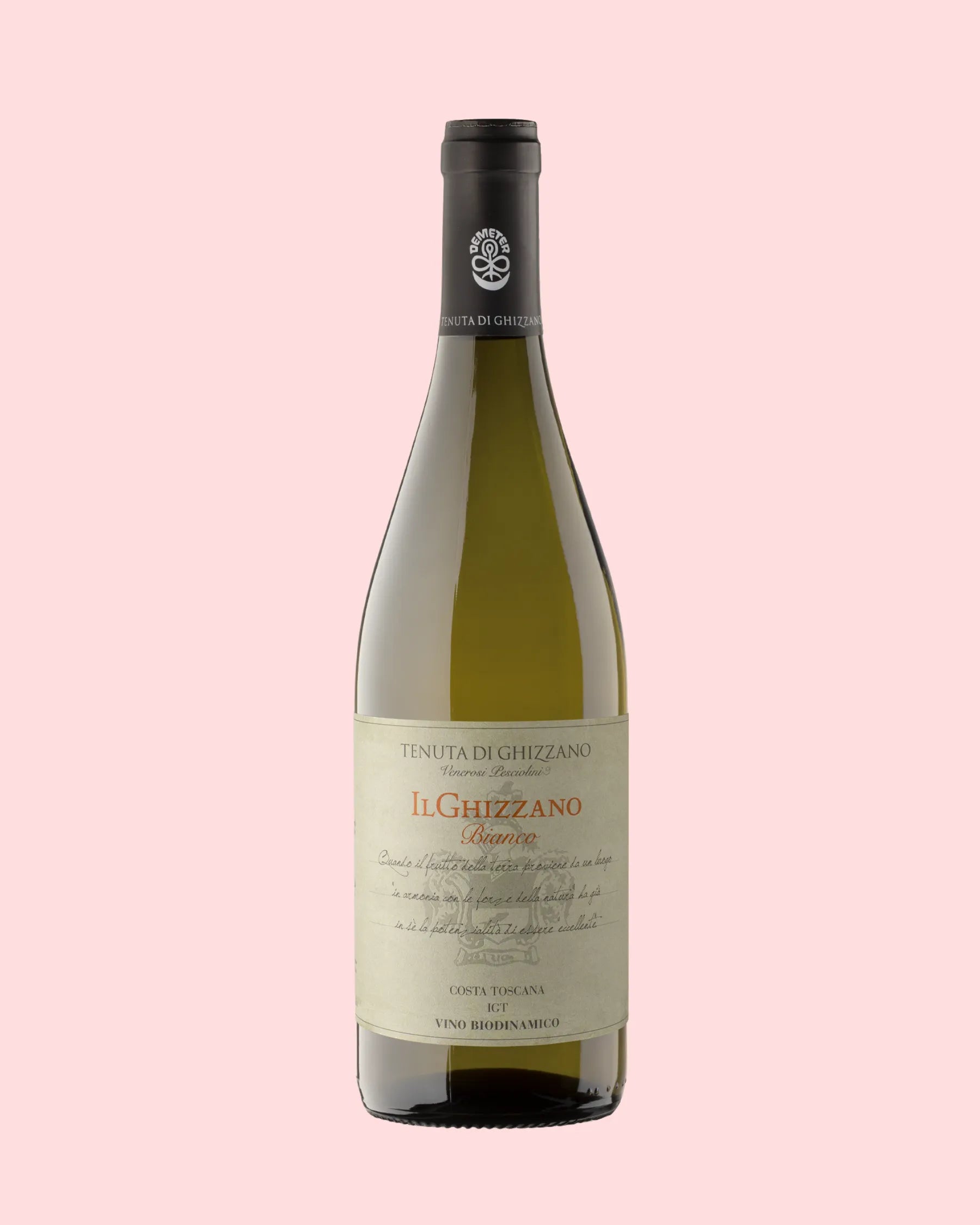 Tenuta di Ghizzano Bianco 2022